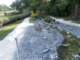bild0215_small.jpg