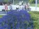 bild0218_small.jpg