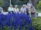 bild0219_small.jpg