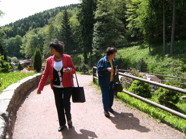 bild0577.jpg