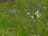 bild0587_small.jpg