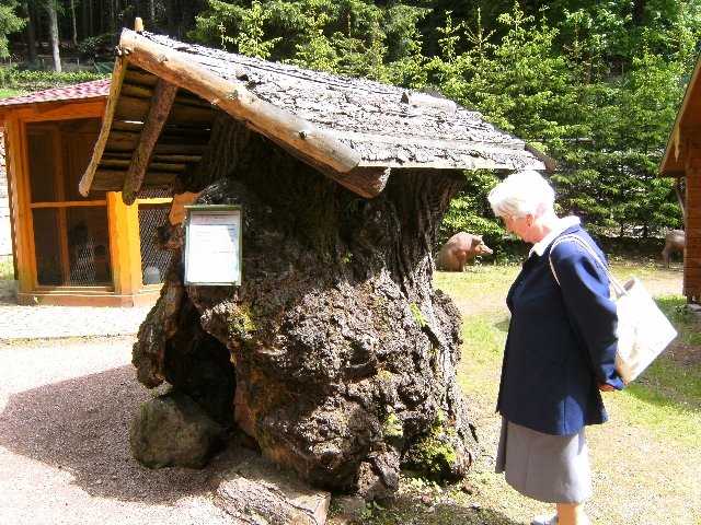 bild0604.jpg