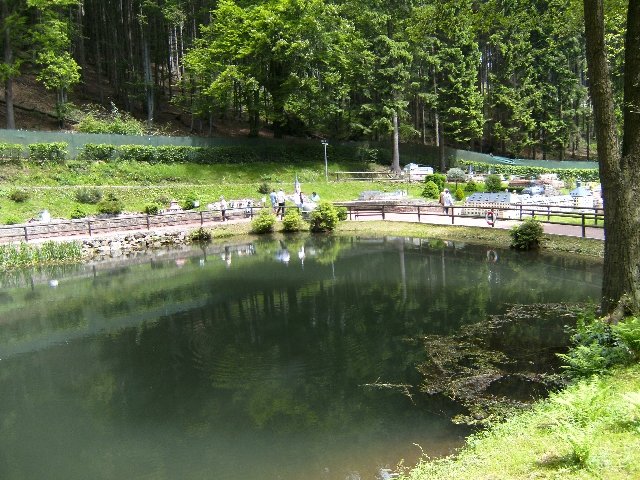 bild0617.jpg