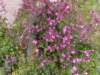 bild0637_small.jpg
