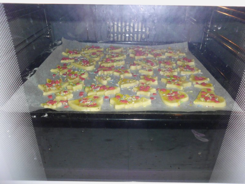 dsci0496.jpg