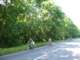 photo10_small.jpg