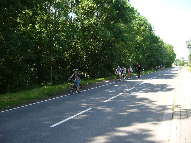 photo9.jpg