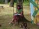 kinderfest_43_small.jpg