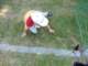 kinderfest_60_small.jpg