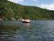 p8161439_small.jpg