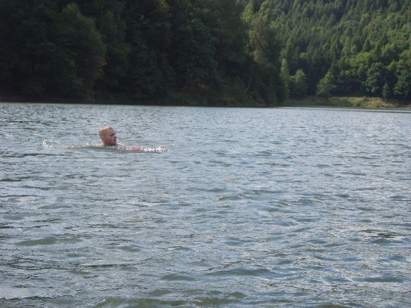 p8161462.jpg