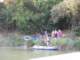 p8161463_small.jpg