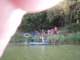 p8161465_small.jpg