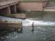 schlauchboot08_2_small.jpg